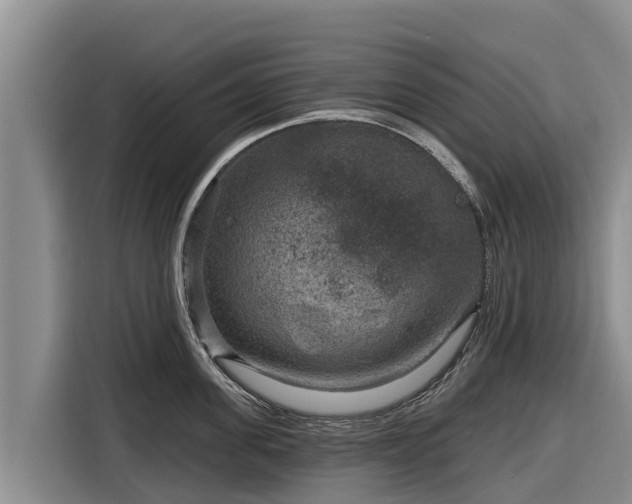 X0000116870955200912291317