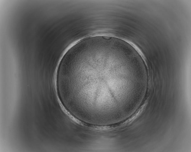X0000116870957200912291317
