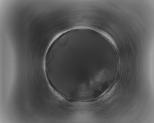 X0000116870958200912291317