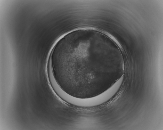 X0000116870959200912291317