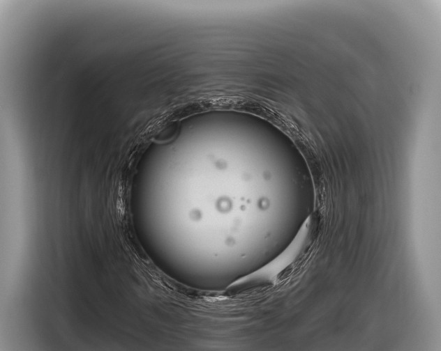 X0000116870962200912291316