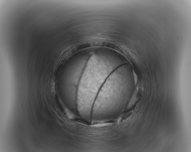 X0000116870964200912291316