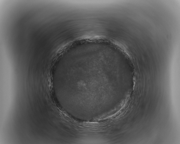 X0000116870966200912291316