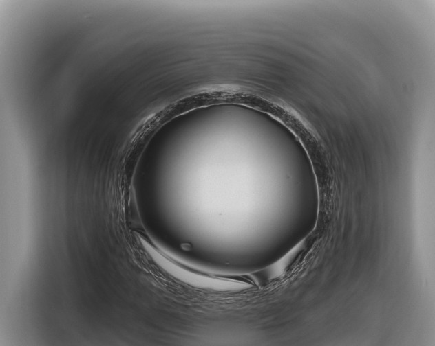 X0000116870967200912291316