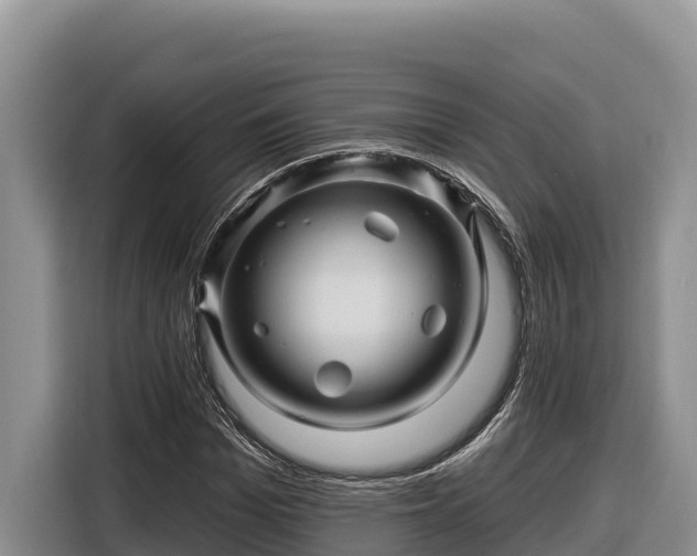 X0000116870969200912291316