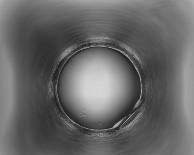 X0000116870970200912291316
