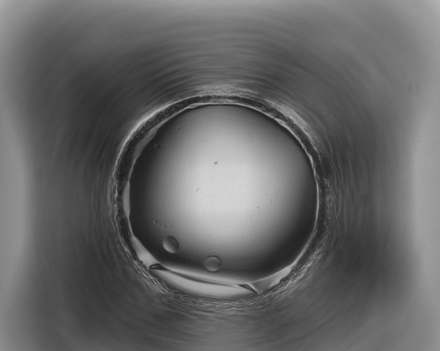 X0000116870971200912291316