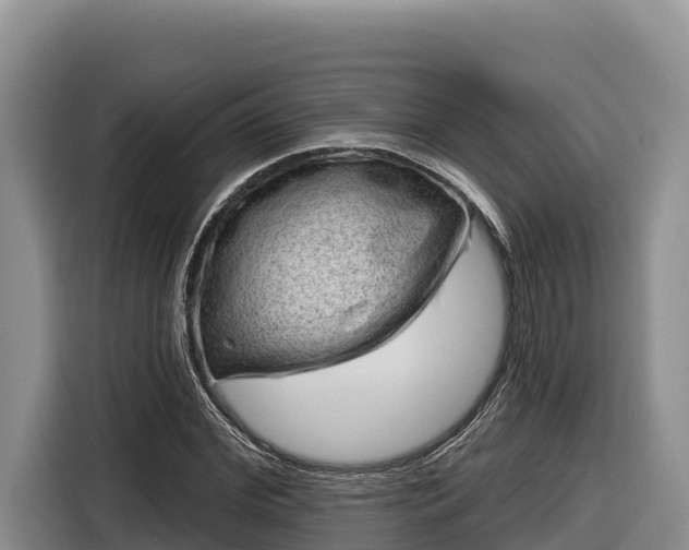 X0000116870972200912291316