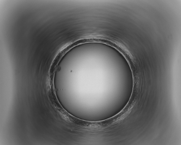 X0000116870974200912291316