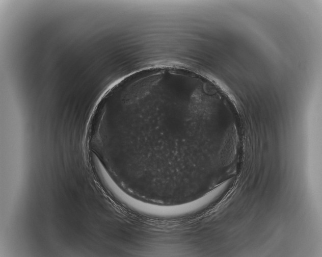 X0000116870975200912291316