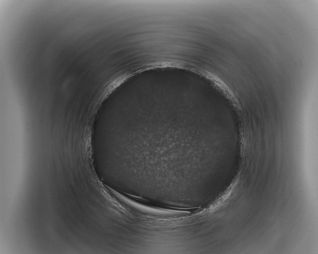 X0000116870977200912291316