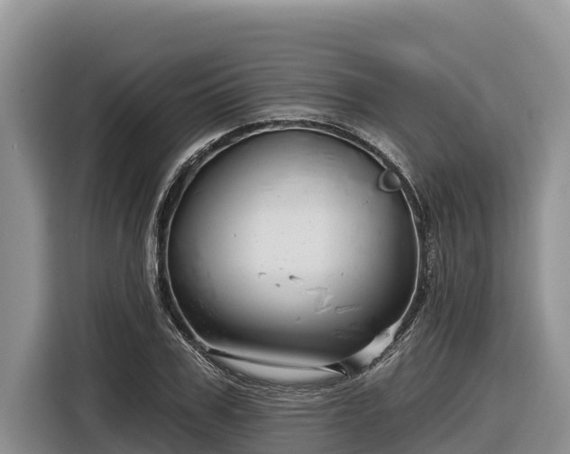 X0000116870979200912291316