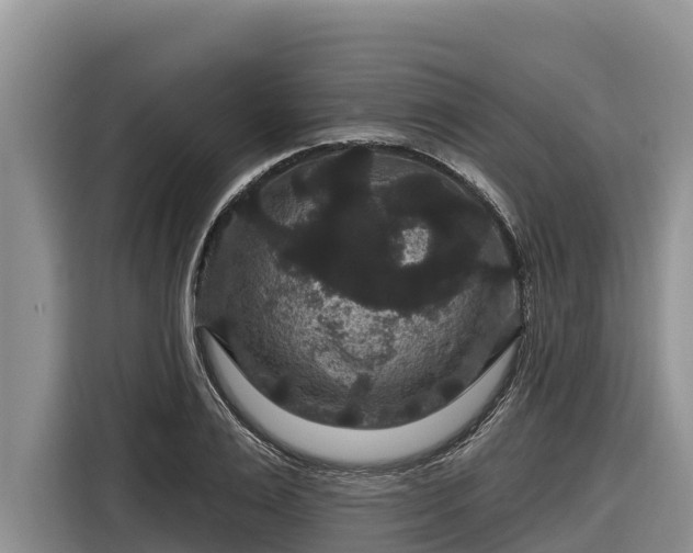 X0000116870983200912291316