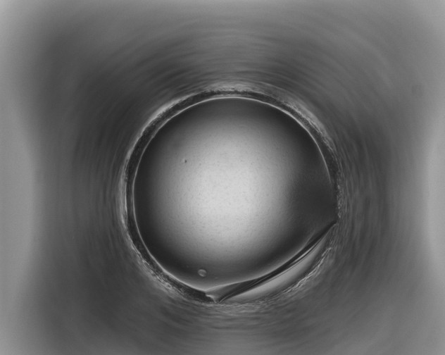 X0000116870984200912291316