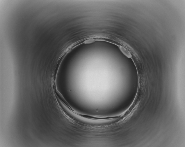 X0000116870985200912291316