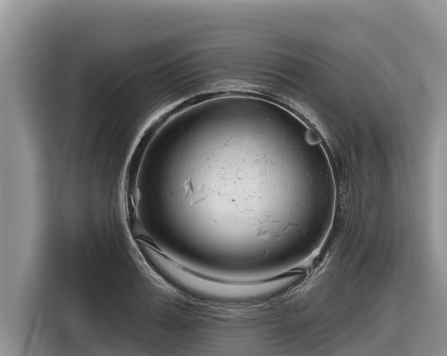 X0000116870987200912291316