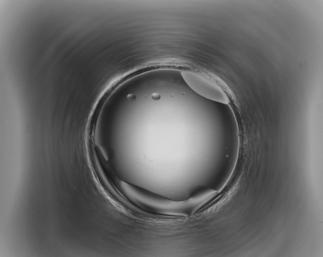 X0000116870989200912291316