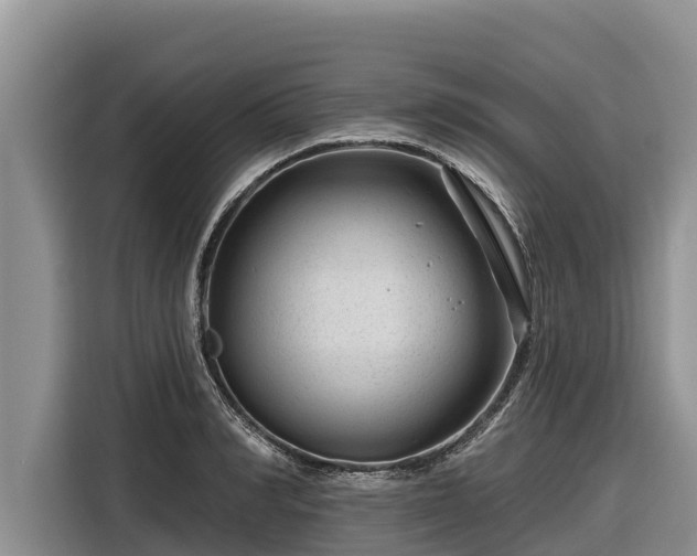 X0000116870990200912291316