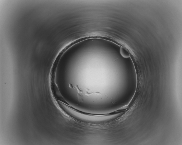 X0000116870991200912291316