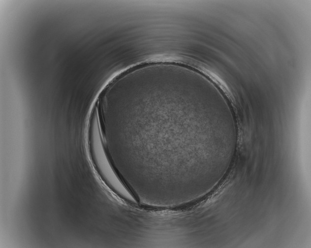 X0000116870992200912291316