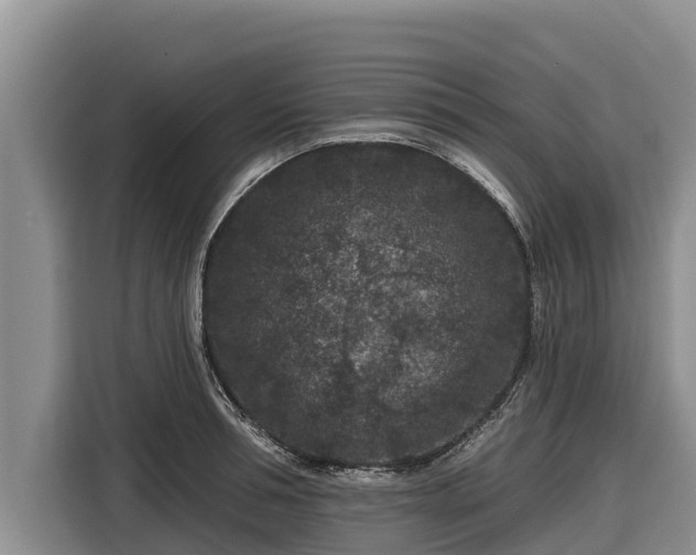 X0000116870994200912291316