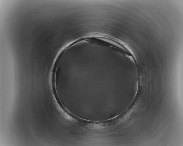X0000116870995200912291316