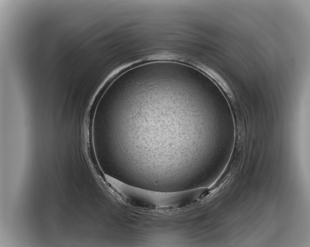 X0000116871000200912291316