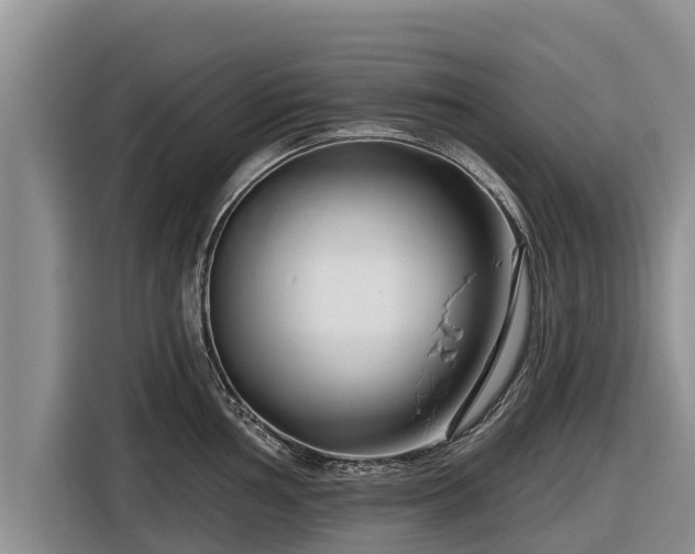 X0000116871002200912291316
