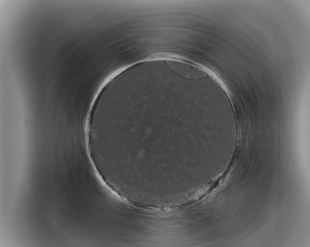 X0000116871003200912291316