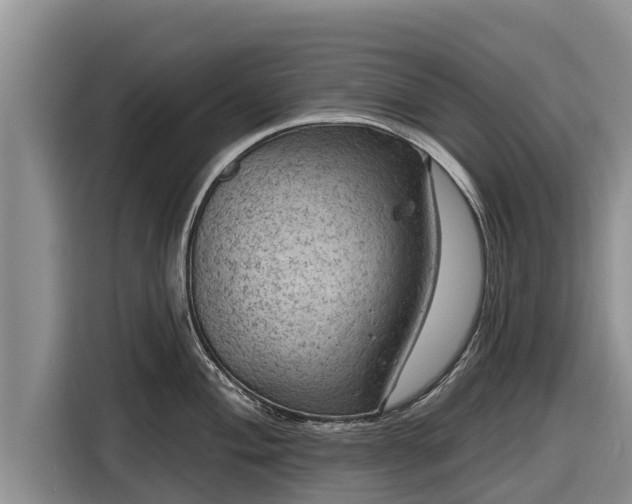 X0000116871004200912291316