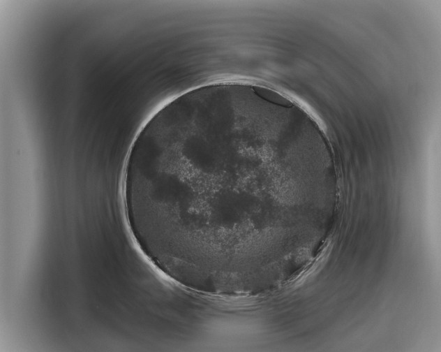 X0000116871007200912291316