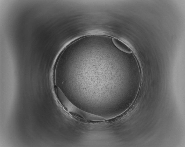 X0000116871008200912291316