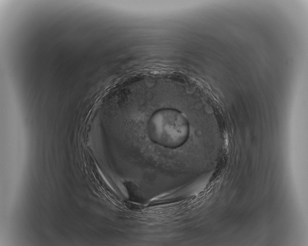 X0000116871009200912291315
