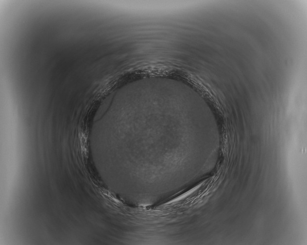 X0000116871010200912291315