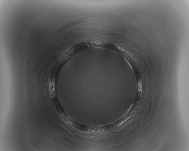 X0000116871011200912291315