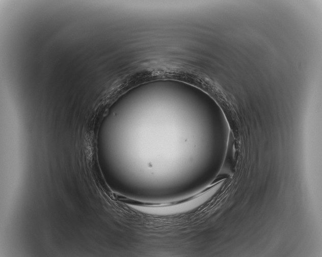 X0000116871012200912291315