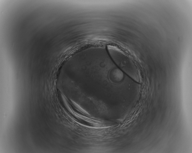 X0000116871013200912291315