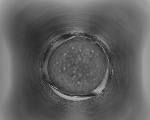 X0000116871015200912291315