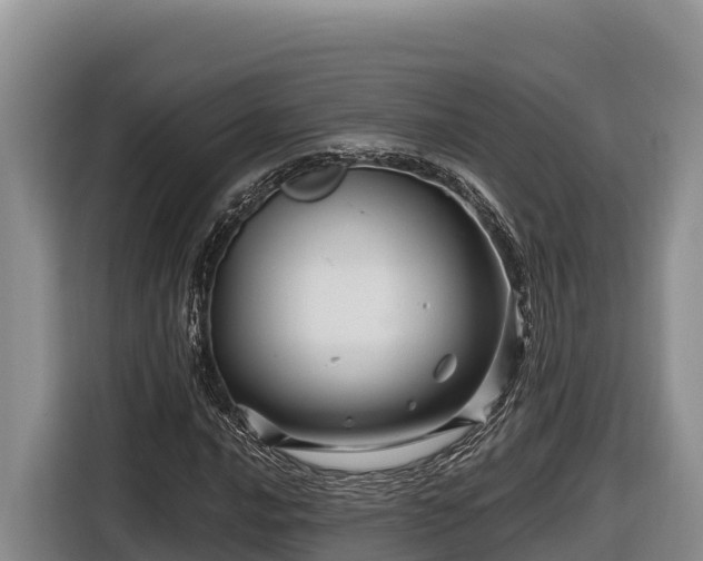 X0000116871016200912291315
