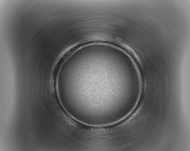 X0000116871019200912291315