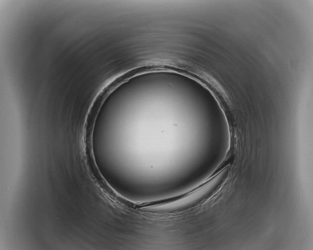 X0000116871020200912291315
