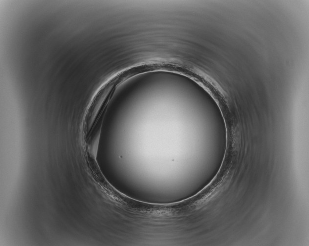 X0000116871021200912291315