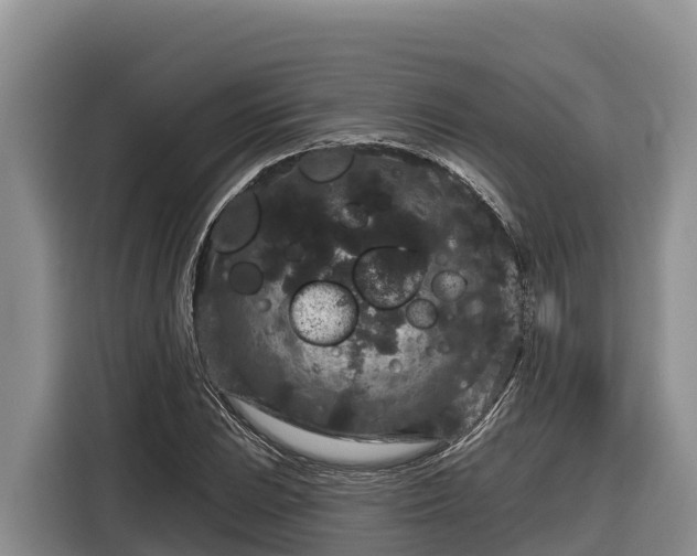 X0000116871023200912291315
