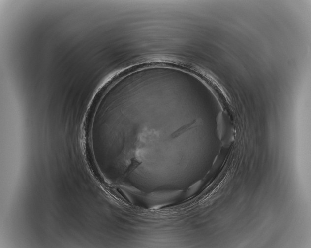 X0000116871024200912291315