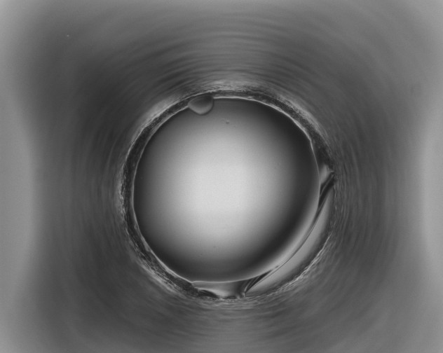 X0000116871026200912291315