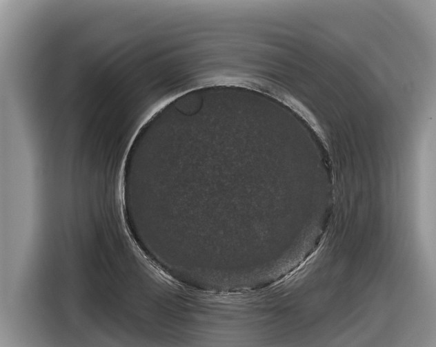 X0000116871028200912291315