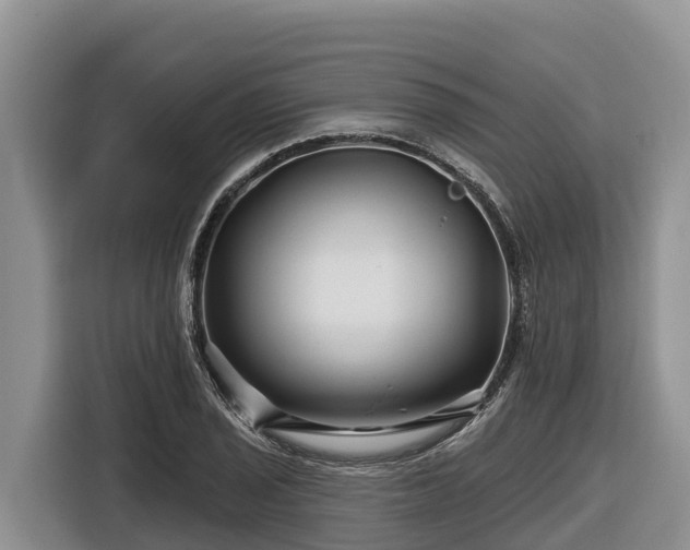 X0000116871029200912291315