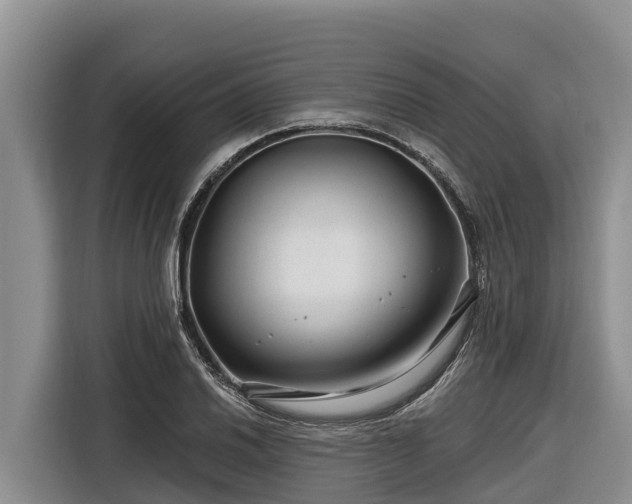 X0000116871030200912291315