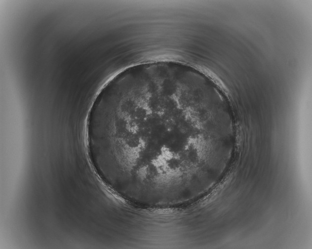 X0000116871031200912291315