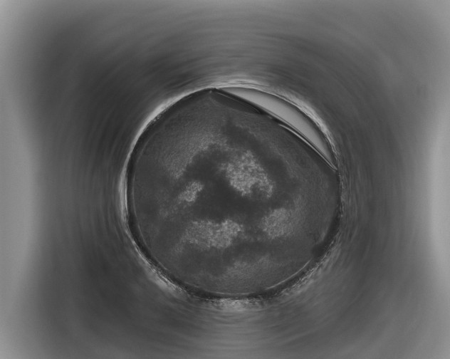 X0000116871032200912291315